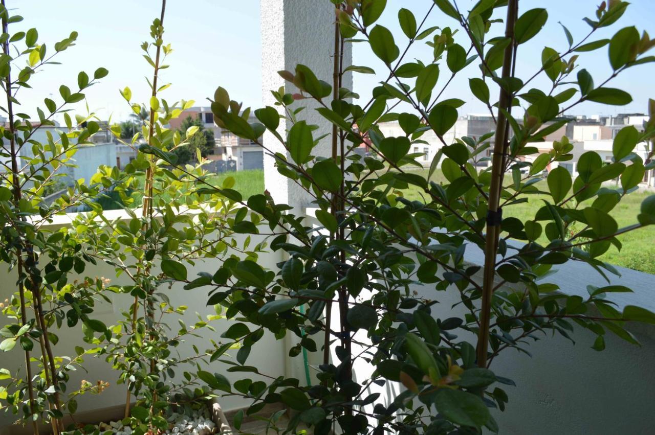 Casa Vacanze Infiore Leverano Buitenkant foto